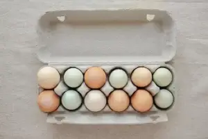 Free Range Eggs